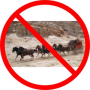 on-metaphor_stagecoach.png